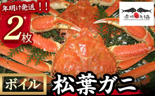 【赤碕町漁業協同組合】 ボイル松葉ガニ 2枚  年明け発送  着日指定不可 松葉ガニ カニ ズワイガニ カニ爪 冷蔵 かにしゃぶ カニ刺身 ずわいがに 鮮度抜群 国産 高級 鳥取県 倉吉市