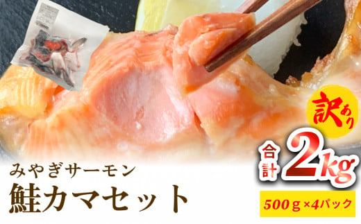 訳あり みやぎサーモン鮭カマセット さけ 銀鮭 切り身 冷凍 焼き魚 おかず おつまみ 美味しい  1478424 - 宮城県石巻市