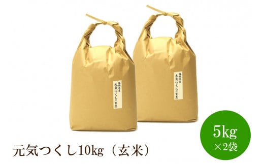 福岡県産【特A】評価のお米「元気つくし」5kg×2袋[10kg][玄米]【059-0043】