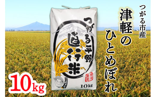 新米] 令和6年産 青森県 つがる市産米 青天の霹靂 5kg (精米)｜お米 米 こめ 白米 青天のへきれき 2024年 [0724] - 青森県 つがる市｜ふるさとチョイス - ふるさと納税サイト