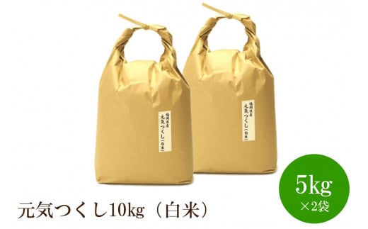 福岡県産【特A】評価のお米「元気つくし」5kg×2袋[10kg][白米]【059-0042】