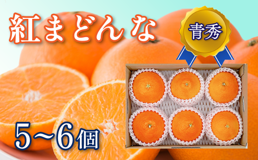 【先行予約】 紅まどんな ＜青秀＞ 5～6個入（JA東予園芸またはJA周桑）　※2024年11月下旬～12月下旬頃発送　紅まどんな 柑橘 愛媛県オリジナル品種 341975 - 愛媛県西条市