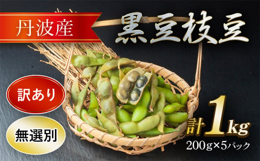 【訳アリ】丹波産黒豆枝豆(無選別)200ｇ×5パック  ふるさと納税 野菜 豆 くろまめ 黒豆 えだまめ 枝豆 訳あり 京都府 福知山市