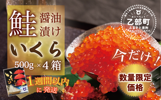 【数量限定 特別価格】＜いくら醤油漬　４パック（500ｇ×4）2ｋｇ＞鮮度にこだわる「笹谷商店」の絶品の醤油タレで漬けたいくら（検索：イクラ 鮭いくら 鮭イクラ 醤油いくら 醤油イクラ いくら醤油漬け イクラ醤油漬け 醤油漬 いくら丼 秋鮭 国産 北海道産 北海道乙部町 日本海 冷凍 人気 訳あり 定額減税 使い道 ふるさと納税） 1479800 - 北海道乙部町