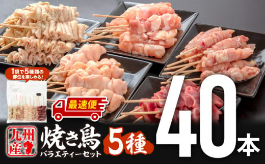 [発送期日が選べる]九州産若鶏 焼き鳥5種(40本)バラエティーセット_M146-015-SKU