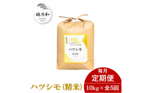 ＜毎月定期便＞岐阜県産ハツシモ(精米)10kg全5回【4056104】