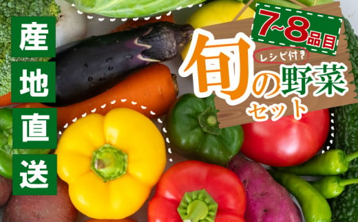 季節の野菜セット 産地直送 朝採れ （7品 ～ 8品 野菜 セット 詰め合わせ 特産 季節 旬 新鮮 彩 ベジタブル 高知県 須崎市  ） NPO020 1479926 - 高知県須崎市