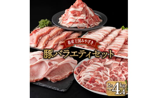 MCBYS28 宮崎県産豚 バラエティセット（合計2.8kg） 1479805 - 宮崎県串間市