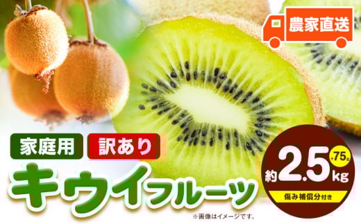 先行予約 ご家庭用 キウイ フルーツ 2.5kg+250g（傷み補償分） 池田鹿蔵農園@日高町（池田農園株式会社）《11月中旬～5月中旬まで出荷》和歌山県 日高町 わけあり 訳あり 扁平果 【配送不可地域あり】