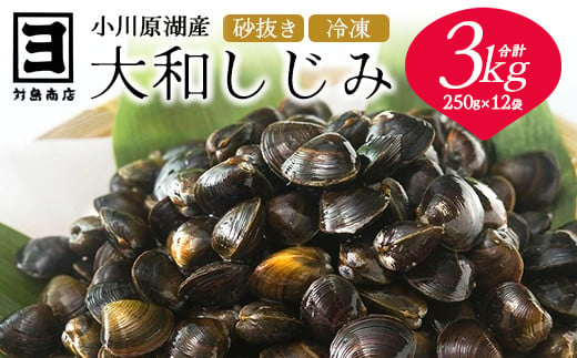 砂抜き済みで手間いらず！冷凍・小川原湖産大和しじみ3kg（250g×12袋）　【02408-0086】 1564980 - 青森県東北町