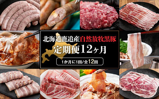 鹿追産 自然放牧黒豚 圧巻の豚肉おまかせ定期便（12ヶ月分） 【 ふるさと納税 人気 おすすめ ランキング 黒豚 自然放牧黒豚 ウインナー ソーセージ ベーコン 豚肉 加工肉 定期便 十勝 北海道 鹿追町 送料無料 】 SKN013