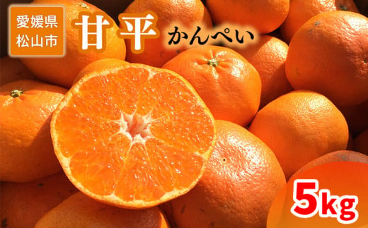 ＜ご家庭用＞1月下旬から発送 甘平5kg （ 愛媛 みかん 先行予約 蜜柑 柑橘 果物 くだもの フルーツ お取り寄せ グルメ 期間限定 数量限定 人気 おすすめ 愛媛県 松山市 ） 593670 - 愛媛県松山市