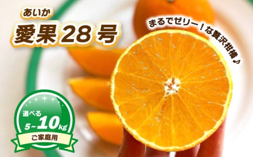 [12月上旬〜1月初旬頃発送予定] ご家庭用 愛果28号 5kg / 10kg 数量選択可 | あいか ご家庭用 みかん 数量限定 みかん 愛媛県産 みかん 愛果28号 松山市 みかん 愛果28号 みかん 蜜柑 愛果28号 ミカン みかん 旬 愛果28号