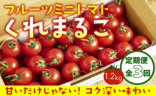 【定期便全3回 1月・3月・6月にお届け】 フルーツミニトマト 『 くれまるこ 』 1.2kg 1478654 - 高知県中土佐町