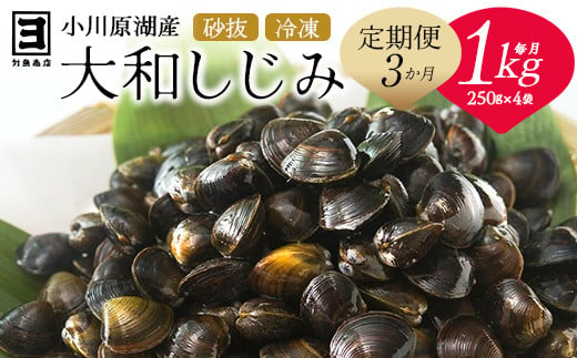 【 3ヵ月定期便 】砂抜き済みで手間いらず！冷凍・小川原湖産大和しじみ1kg（250g×4袋）　【02408-0089】 1564983 - 青森県東北町