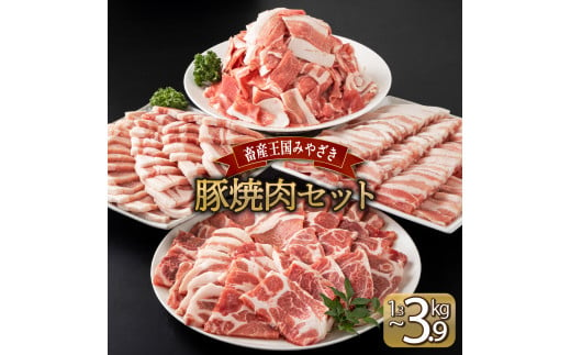 MCBY4-24 宮崎県産 豚肉詰め合わせ 焼肉セット（合計2.6kg） 1479540 - 宮崎県串間市