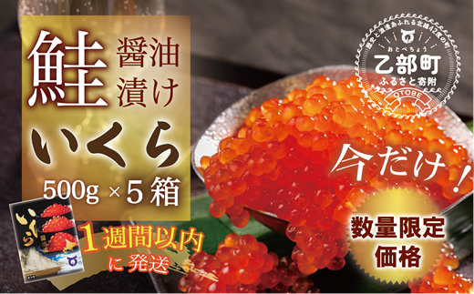 【数量限定 特別価格】＜いくら醤油漬　５パック（500ｇ×5）2.5ｋｇ＞鮮度にこだわる「笹谷商店」の絶品の醤油タレで漬けたいくら（検索：イクラ 鮭いくら 鮭イクラ 醤油いくら 醤油イクラ いくら醤油漬け イクラ醤油漬け 醤油漬 いくら丼 秋鮭 国産 北海道産 北海道乙部町 日本海 冷凍 人気 訳あり 定額減税 使い道 ふるさと納税） 1479801 - 北海道乙部町