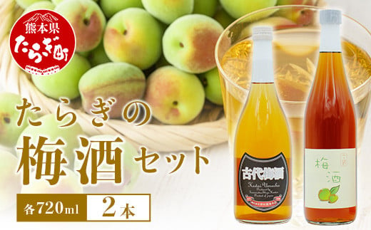 たらぎの 梅酒 セット 720ml × 2本 ≪古代梅酒≫≪ 梅酒文蔵≫ 球磨焼酎 多良木町 米 焼酎 梅 うめ酒 お酒 球磨 贈り物 ギフト 熊本県 多良木町 015-0689 1492346 - 熊本県多良木町