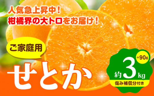 訳あり せとか みかん ご家庭用 3kg +90g (傷み補償分) [光センサー選果] 池田鹿蔵農園 @日高町 [2月上旬-4月中旬頃出荷]和歌山県 日高町 家庭用 せとか 訳あり わけあり セトカ ミカン 柑橘 柑橘類 送料無料 [配送不可地域あり]