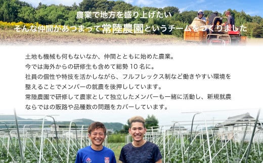 茨城県常陸太田市のふるさと納税 【先行予約 12月中旬以降発送】茨城県産 干し芋 平干し 箱詰め 2㎏ 12月中旬以降発送 |  国産 干し芋 芋 大容量 箱入り 箱 べにはるか ほし芋 さつまいも  スイーツ 干し芋 お菓子  甘い ほしいも 常陸太田干し芋 人気 干し芋 お取り寄せ おやつ 和菓子 個包装なし 食物繊維