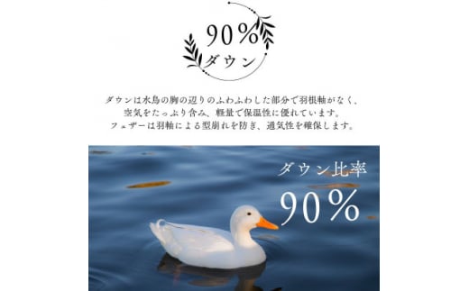 大阪府忠岡町のふるさと納税 洗える羽毛布団シングル二枚合わせ 合布団0.8kg肌布団0.3kg オールシーズン対応  クリーム【1310480】