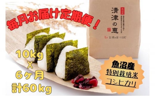 【通年受付】魚沼産特別栽培米コシヒカリ［清津の恵］精米10kg（5kgx2袋）全6回 十日町市 十日町 米 1480335 - 新潟県十日町市