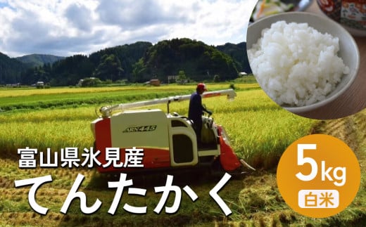 令和6年産 富山県氷見産 てんたかく 5kg 白米 富山県 氷見市 米 てんたかく