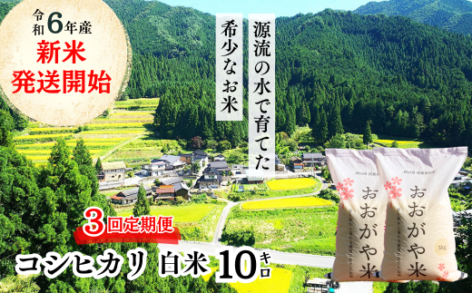 【3回定期便】白米 10kg 令和6年産 コシヒカリ 岡山 「おおがや米」生産組合 G-ag-BDCA 1329224 - 岡山県西粟倉村