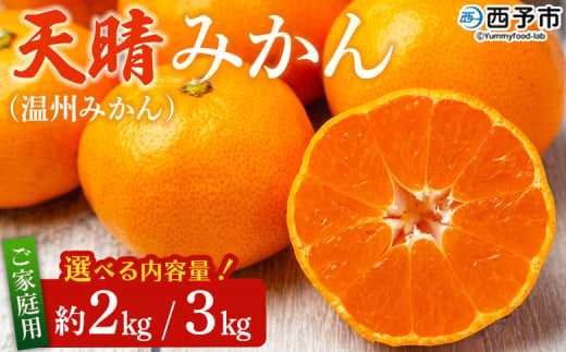 先行予約 愛媛県明浜産 天晴みかん(温州みかん)約2kg/3kg 家庭用 訳あり ワケアリ 自宅用 果物 くだもの フルーツ ミカン 柑橘 選べる 天晴農園 食べて応援 特産品 産地直送 愛媛県 西予市[常温]