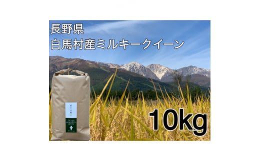 白馬産ミルキークイーン 白米 10kg【1483812】 1482928 - 長野県白馬村