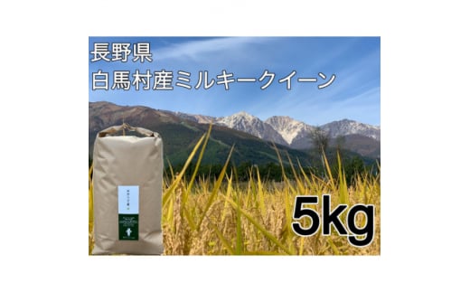 白馬産ミルキークイーン 白米 5kg【1483813】 1482929 - 長野県白馬村