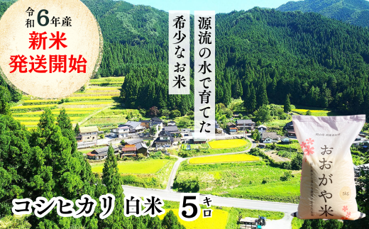 白米 5kg 令和6年産 コシヒカリ 岡山 「おおがや米」生産組合 G-af-ADCA 1329226 - 岡山県西粟倉村