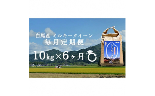 ＜発送月固定定期便＞＜令和6年産先行予約＞白馬産ミルキークイーン精米10kg全6回【4055708】 1482933 - 長野県白馬村