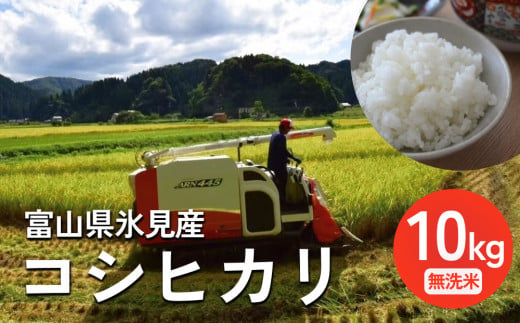 令和6年産 富山県氷見産 コシヒカリ 10kg 無洗米 富山県 氷見市 米 こしひかり