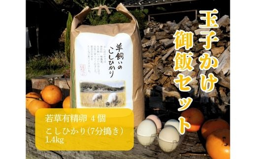 若草有精卵と無農薬こしひかり1.4kg（7分搗き）の玉子かけ御飯セット 002015 776597 - 広島県三原市