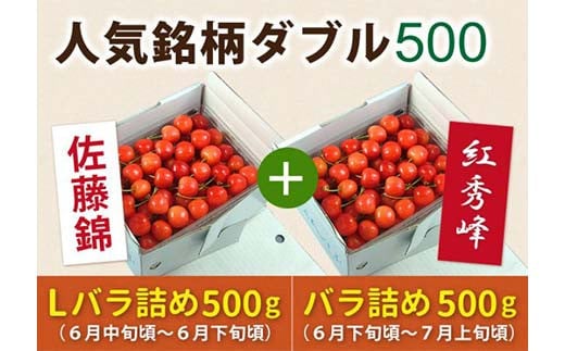 《先行予約 2025年度発送》【頒布会】さくらんぼ人気銘柄ダブル500(佐藤錦&紅秀峰) FSY-0155 524304 - 山形県山形県庁