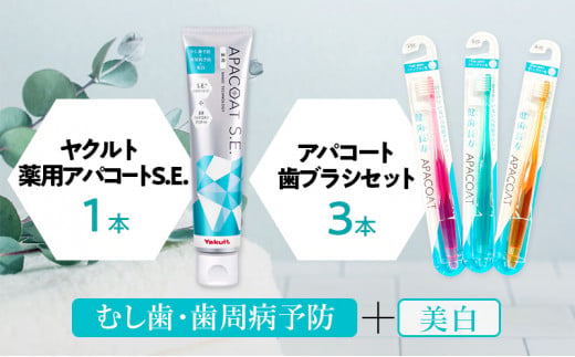 ヤクルト 薬用歯磨きセット 雑貨 日用品 おすすめ 歯磨き粉 アパコート 歯ブラシ  1023492 - 神奈川県藤沢市