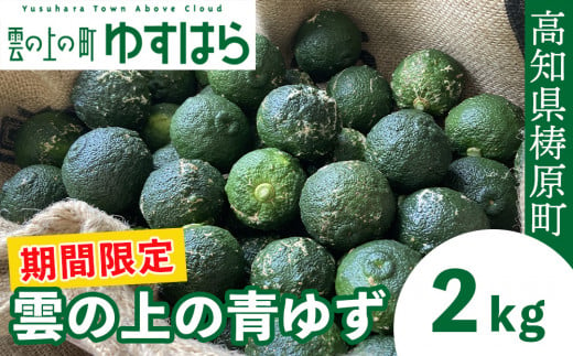 【期間限定】雲の上の青ゆず（２ｋｇ） 1037533 - 高知県檮原町