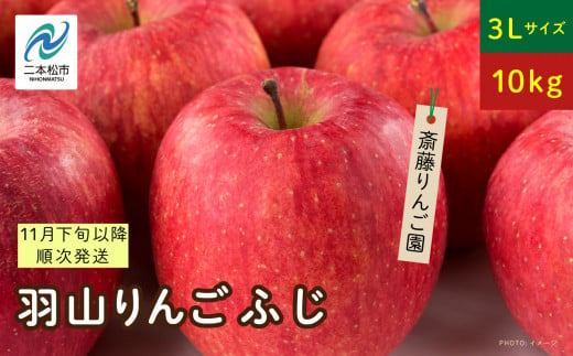 《2024年11月下旬以降順次》羽山のりんご ふじ3Lサイズ10kg りんご 果物 フルーツ 羽山りんご 10kg ふじ 人気 くだもの おすすめ お中元 お歳暮 ギフト 二本松市 ふくしま 福島県 送料無料【斎藤りんご園】 1480809 - 福島県二本松市