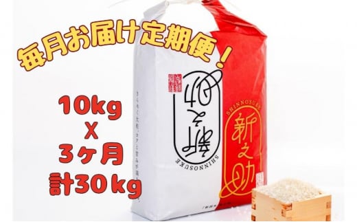 【通年受付】魚沼産新之助　精米10kg（5kgx2袋）全3回 十日町市 十日町 米 1480325 - 新潟県十日町市