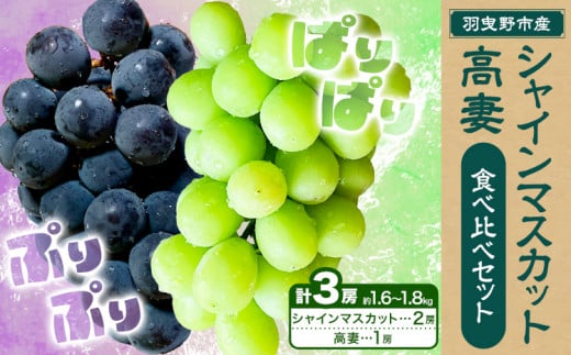[2025年先行予約]シャインマスカット 2房 & 高妻 1房 計3房セット 約1.6kg~1.8kg 麻野農園 [2025年8月上旬-9月上旬頃出荷] 大阪府 羽曳野市 ぶどう 果物 フルーツ 葡萄 シャインマスカット 高妻 種なしぶどう