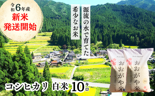 白米 10kg 令和6年産 コシヒカリ 岡山 「おおがや米」生産組合 G-ag-ADCA 1329223 - 岡山県西粟倉村