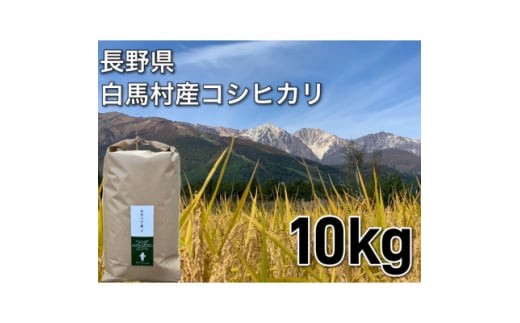 白馬産コシヒカリ白米10kg【1484001】 1482930 - 長野県白馬村