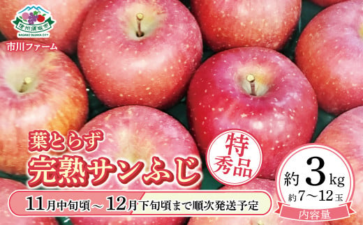 [5657-3419]葉とらず完熟サンふじ特秀品 約3kg (約7～12玉) 《市川ファーム》■2024年発送■※11月中旬頃～12月下旬頃まで順次発送予定 1060822 - 長野県須坂市