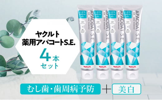 ヤクルト 薬用アパコートS.E. 4個セット 歯磨き セット 歯磨き粉 薬用歯磨き粉 アパコート S.E. 予防 口臭 歯肉炎 歯槽膿漏 虫歯 歯 再石灰化 デンタルケア 歯みがき はみがき 1342502 - 神奈川県藤沢市