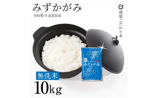 新米 ★無洗米★ 令和6年 彦根産 みずかがみ 10kg（5kg×2袋） 1480344 - 滋賀県彦根市