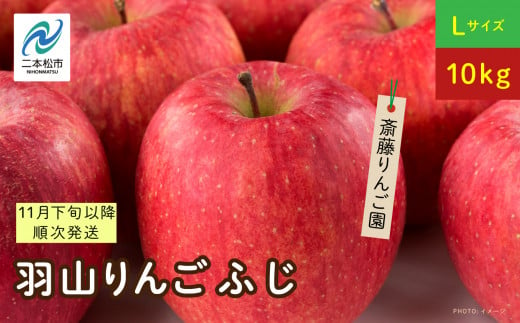 《2024年11月下旬以降順次》羽山のりんご ふじLサイズ10kg りんご 果物 フルーツ 羽山りんご 10kg ふじ 人気 くだもの おすすめ お中元 お歳暮 ギフト 二本松市 ふくしま 福島県 送料無料【斎藤りんご園】 1480807 - 福島県二本松市