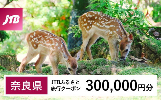 【奈良県】JTBふるさと旅行クーポン（Eメール発行）（300,000円分） 1529658 - 奈良県奈良県庁