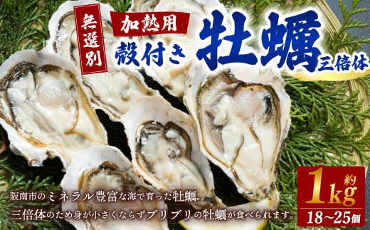 【無選別】加熱用 殻付き牡蠣 約1kg（18～25個）三倍体／牡蠣 かき カキ 生ガキ 生牡蠣 加熱用 調理用 1484832 - 大阪府阪南市