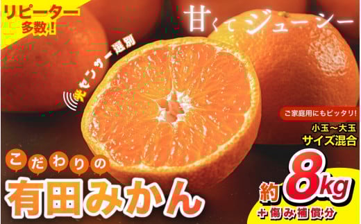 【2025年12月発送予約分】【家庭用】【農家直送】こだわりの有田みかん 約8kg＋250g(傷み補償分) 有機質肥料100% サイズ混合　【12月発送】※北海道・沖縄・離島配送不可【nuk100-12】
